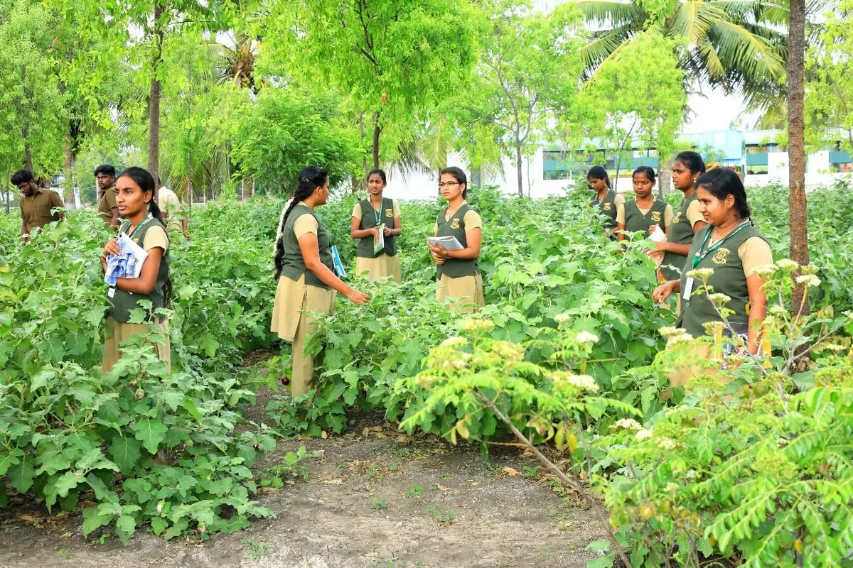Thanthai Roever Institute of Agriculture and Rural Development: campus photo 3