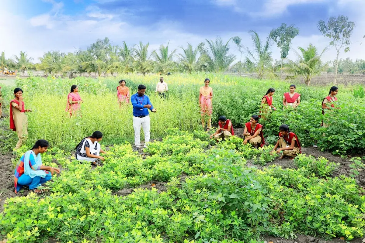 Thanthai Roever Institute of Agriculture and Rural Development: campus photo 5