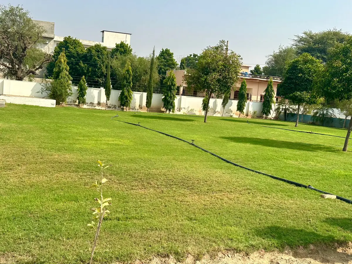 Trilok Singh TT College: campus photo 3