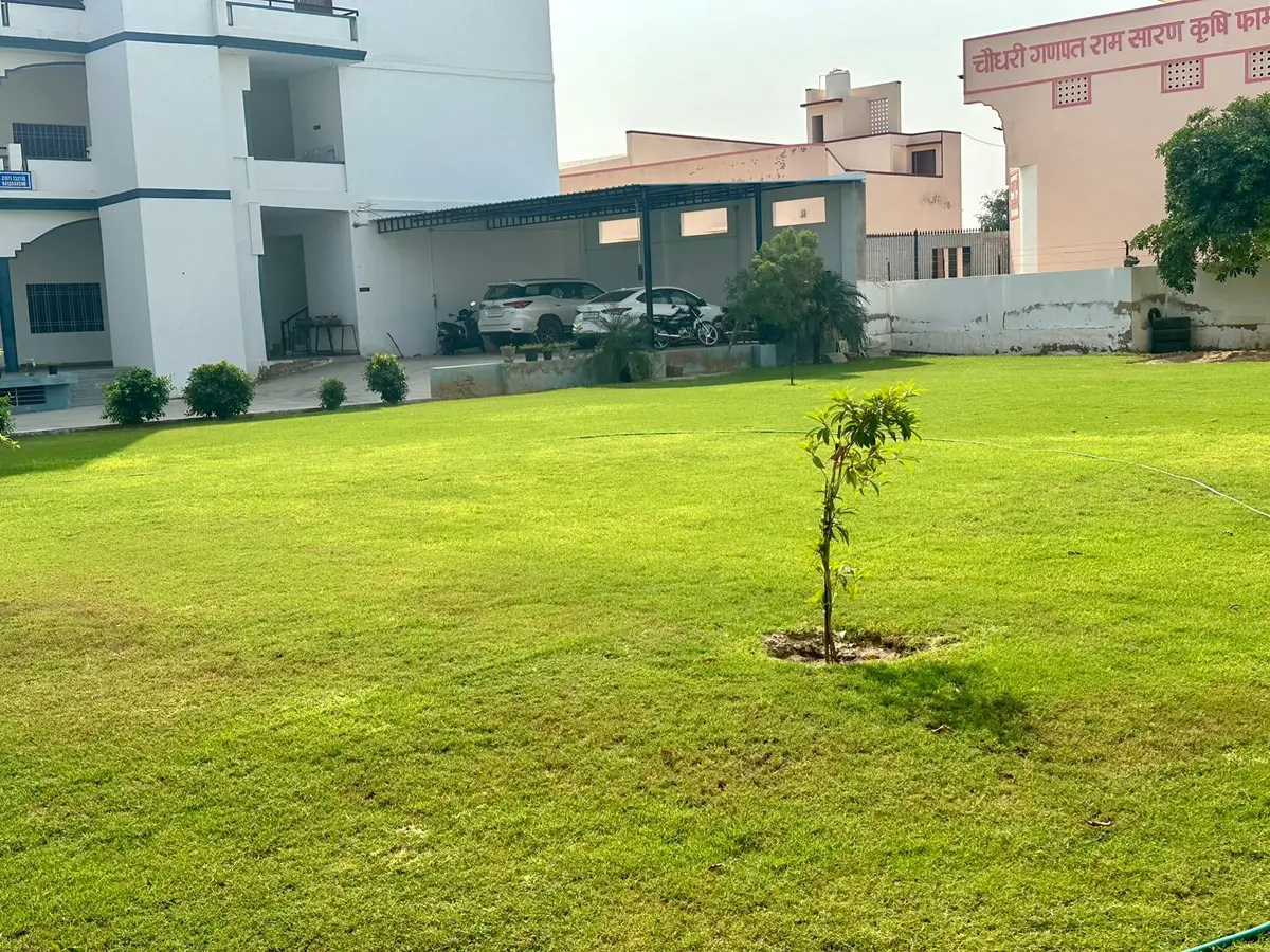 Trilok Singh TT College: campus photo 4