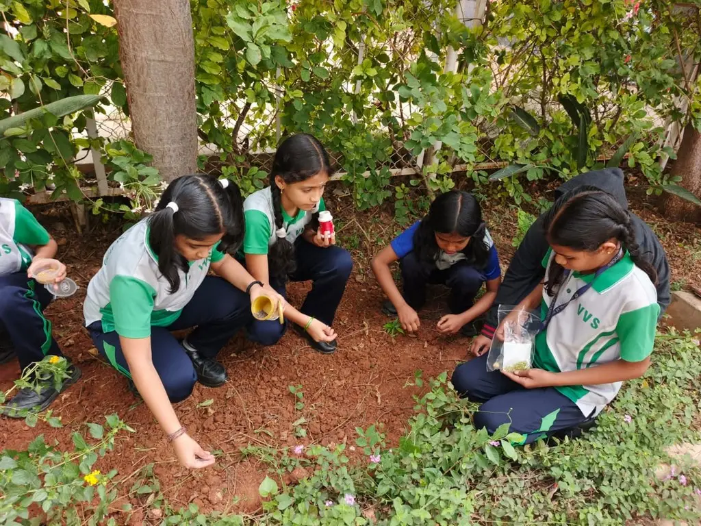 VVS campus photo 1