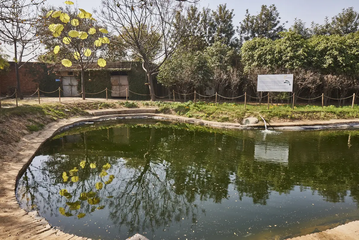 VI campus photo 4