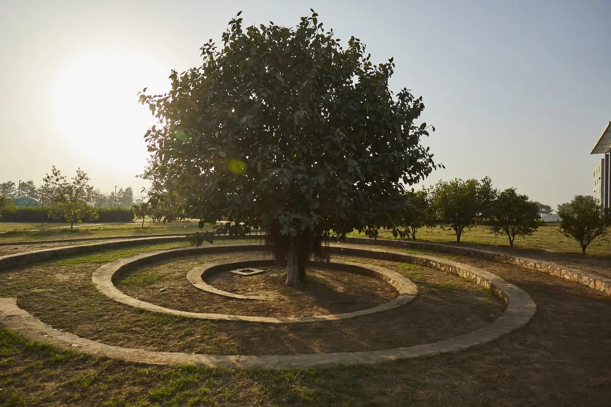 VI campus photo 2