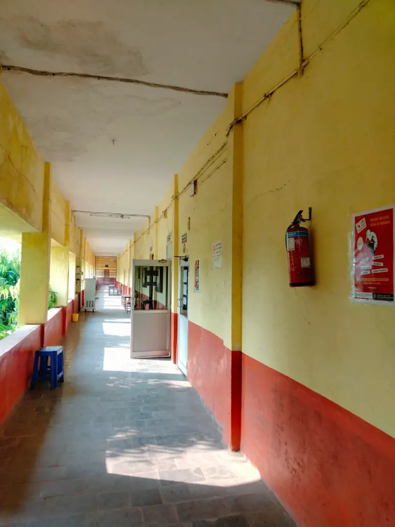 Vidyapeeth College: campus photo 3