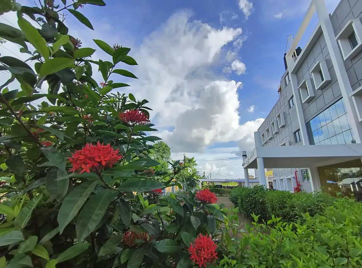 Vidyasagar Teachers Training Institute: campus photo 4