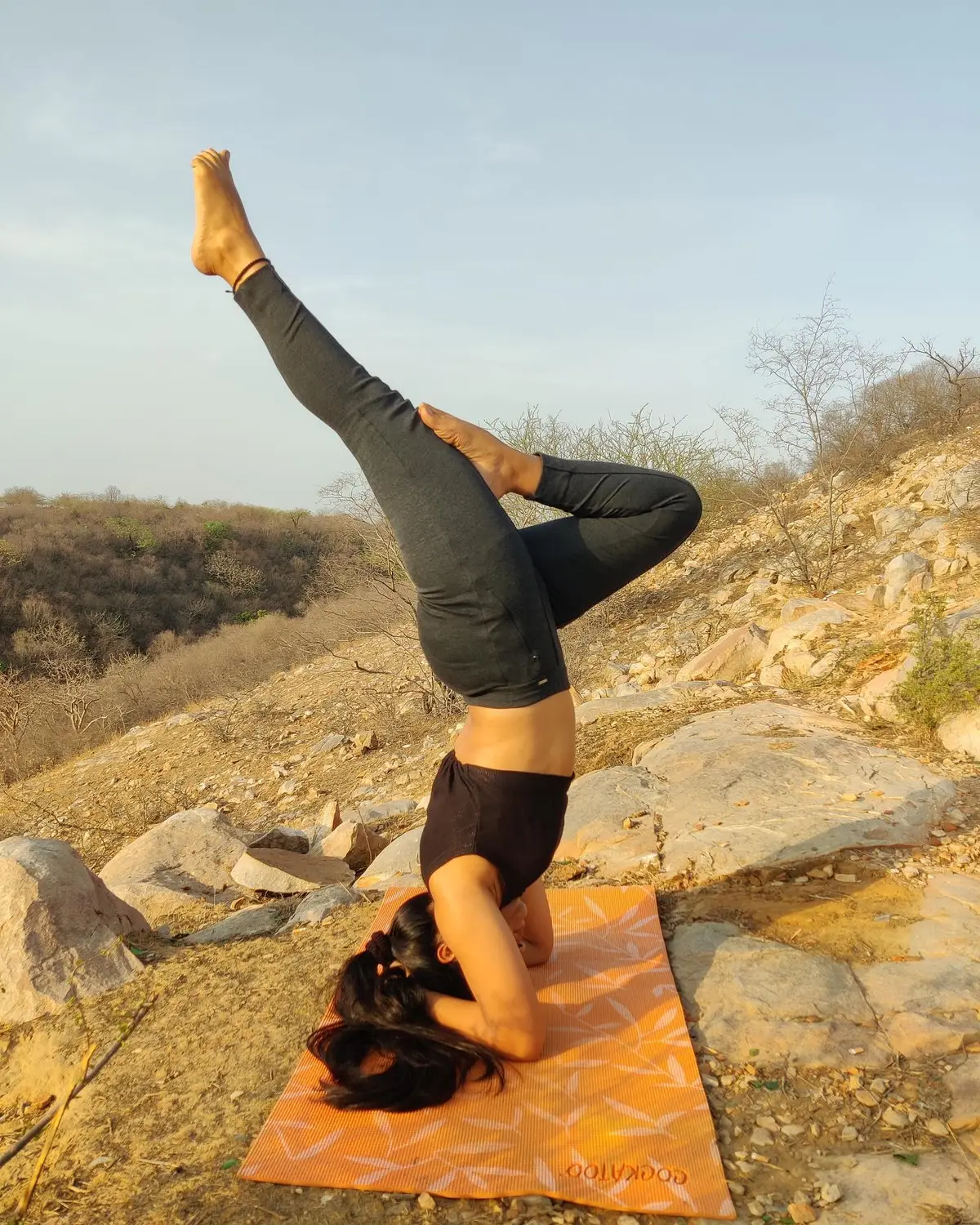Yogmaya Yoga Mahavidhyalaya: campus photo 8