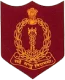 Armed Forces Medical College logo
