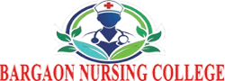 Bargaon Nursing College logo