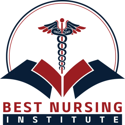 Best Nursing Institute logo