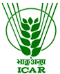 CIFE logo