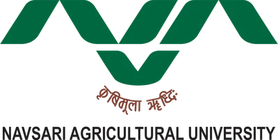 College of Agricultural Engineering logo