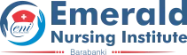 Emerald Nursing Institute Barabanki logo
