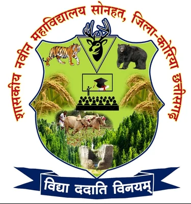 Government Naveen College logo