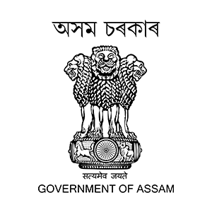 Govt Model College Borkhola logo