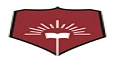 Dr. D.Y. Patil School Of Engineering Academy (DYPSOEA) logo
