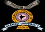 Institute of Management, Bharati Vidyapeeth University logo