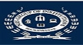 NIIS Institute of Business Administration (NIIS-IBA) logo
