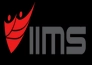 Impact Institute of Management Studies – IIMSB logo