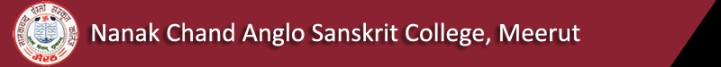 Nanak Chand Anglo Sanskrit College logo
