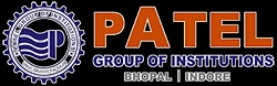 Patel Institute of Engineering and Science logo