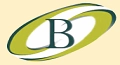 GITAM BSMS – Bengaluru School of Management Studies logo