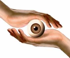 Lotus College of Optometry logo