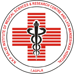 N.K.P. Salve Institute of Medical Sciences & Research Centre and Lata Mangeshkar Hospital logo