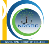 N R Institute of Education logo