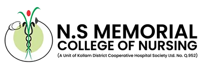 N S Memorial College of Nursing logo