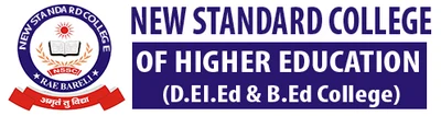 New Standard College of higher education Maharajganj Raebareli logo