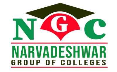 Prof N M Institute of Paramedical Sciences Chinhat Lucknow logo