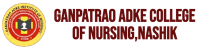 S M M P P Ganpatrao Adke Institute of Nursing Nashik logo