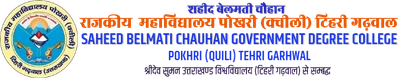 Saheed Belmati Chauhan Government Degree College logo