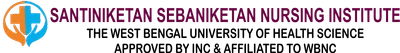 Santiniketan Sebaniketan Nursing Institute logo
