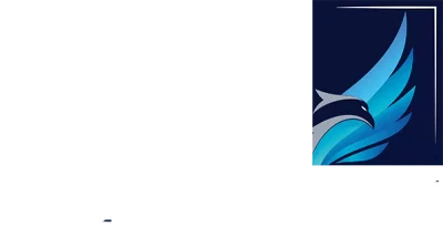 School of Innovation and Management logo
