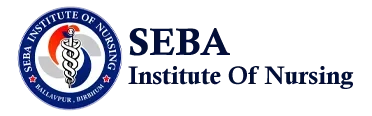 Seba Institute of Nursing logo