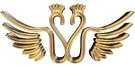 Sherwood Institute of Paramedical Sciences logo