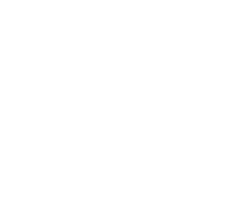 Som-Lalit College of Commerce logo