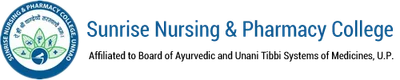 Sunrise Nursing and Pharmacy College Unnao logo