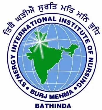 Synergy International Institute of Nursing logo