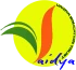 Vaidya School of Nursing Hassan logo