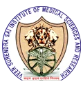 Veer Surendra Sai Institute of Medical Sciences and Research logo