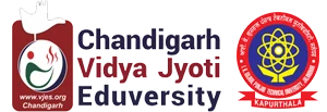 Vidya Jyoti Educational Society logo
