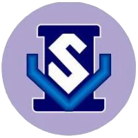 Vidya Sagar Infotech College logo