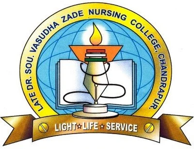 Vishwanand College of Nursing logo